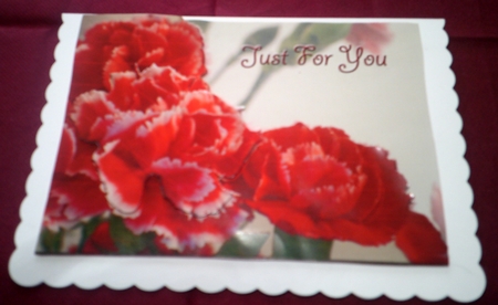 Carnations Card Front Plus - Just for You by Margaret Hanning