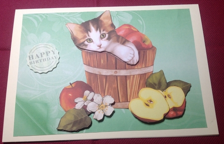 Floral Embossed Backgrounds with Page Curl by Margaret Hanning