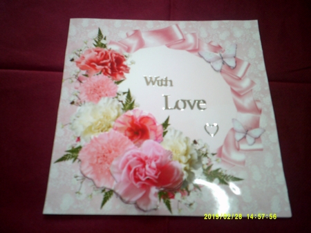 8x8 Love Carnations by Margaret Hanning