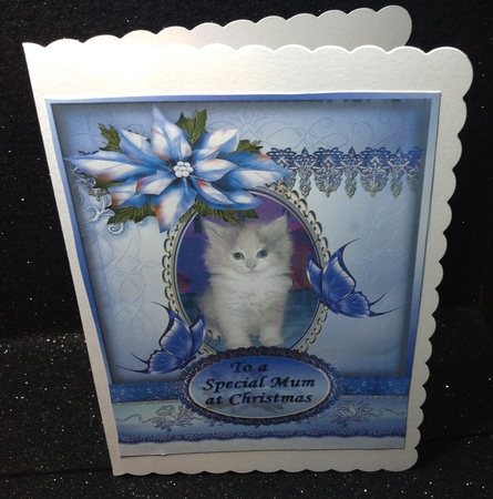 Kitten, Butterflies and Poinsettias by Margaret Hanning