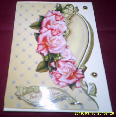 Pink Roses Over the Edge by Margaret Hanning