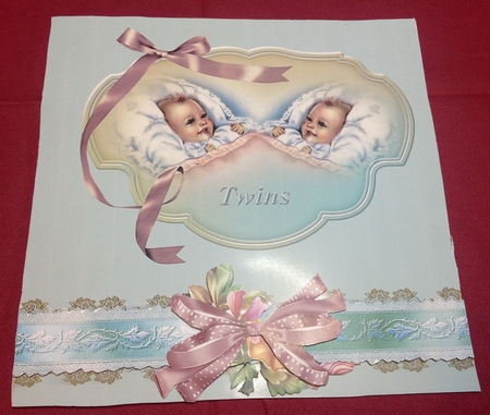 New Baby Twins by Margaret Hanning