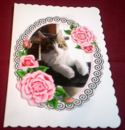 Charlie is a Darling by Margaret Hanning