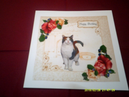 Lovely Cat 2 by Margaret Hanning