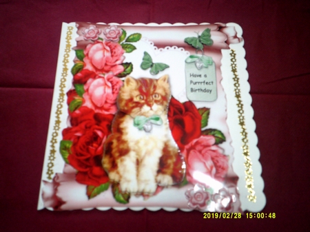 Scroll Vintage Kitten & Roses by Margaret Hanning
