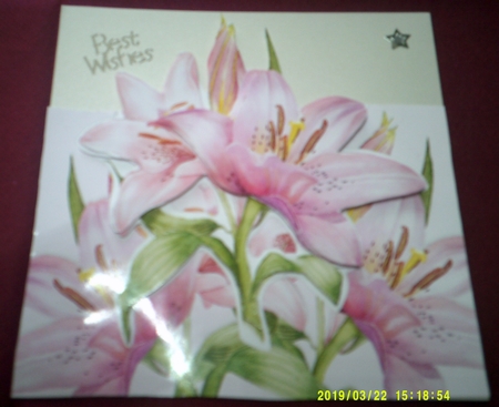 Pretty Pink Flowers A6 Over The Edge by Margaret Hanning
