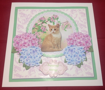 CAT & FLOWERS  by Margaret Hanning