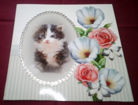 cat and flowers 1 by Margaret Hanning