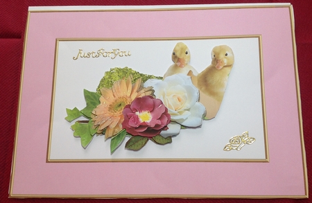 Regal Rose A5 Frames (Regal Rose Color Palette) by Margaret Hanning