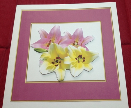 Regal Rose A5 Frames (Regal Rose Color Palette) by Margaret Hanning