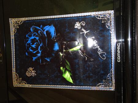 Stunning Blue Rose Card Front by Margaret Harman