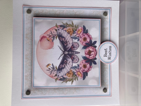 The Beautiful Moth  complete Topper Kit  by Margaret Holt