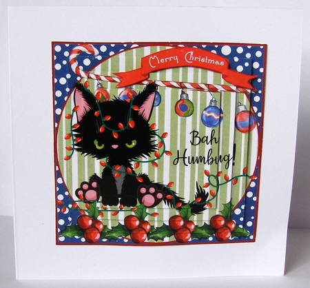 Grumpy Christmas Kitten 5 by Margaret McCartney