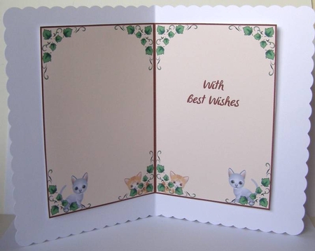 Comfy Cats Insert by Margaret McCartney