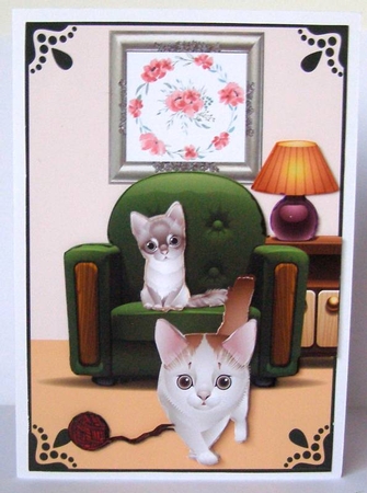 Curious Cats by Margaret McCartney