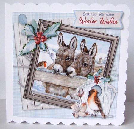 Little Donkey 2 - 5 6x6 & 5 6x4 Card Fronts, 2 Inserts & Backing Paper by Margaret McCartney