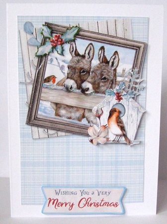 Little Donkey 2 - 5 6x6 & 5 6x4 Card Fronts, 2 Inserts & Backing Paper by Margaret McCartney