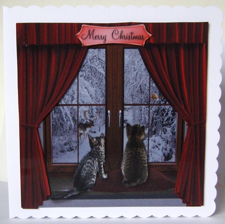 kittens at the window  by Margaret McCartney