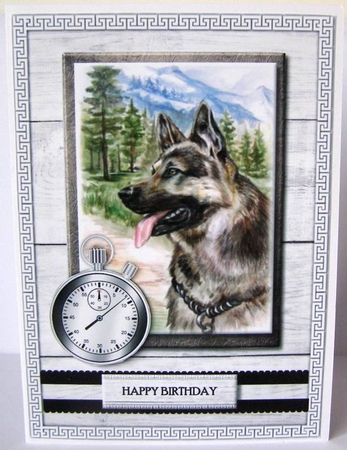 I Love My Dog Mini Kit by Margaret McCartney