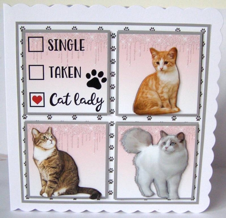 CAT LADY by Margaret McCartney