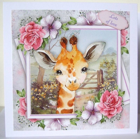 Beautiful Giraffe With Pink Roses 8x8 by Margaret McCartney