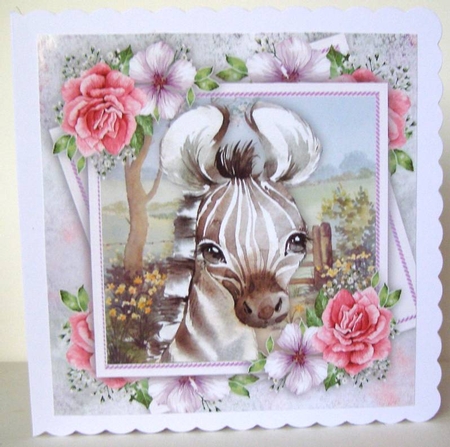Beautiful Zebra With Pink Roses 8x8 by Margaret McCartney