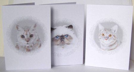 10 Cat Notelets by Margaret McCartney