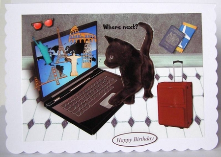 Travel Cat by Margaret McCartney