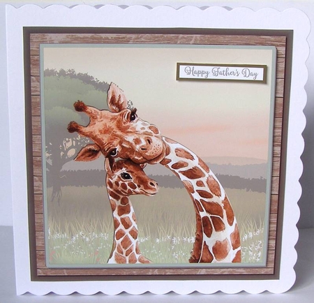 GIRAFFES  by Margaret McCartney