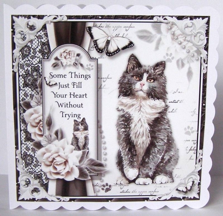 Crazy Cat Lady Bumper Kit by Margaret McCartney