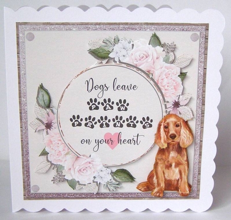 SPANIEL 6X6 by Margaret McCartney