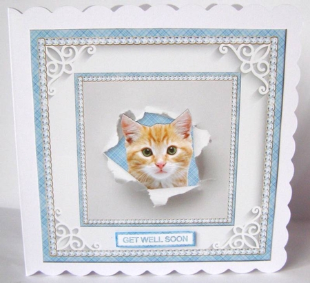 PEEKABOO CAT 6X6 by Margaret McCartney