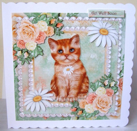 Daisies & Roses  Sweet Kitten  by Margaret McCartney