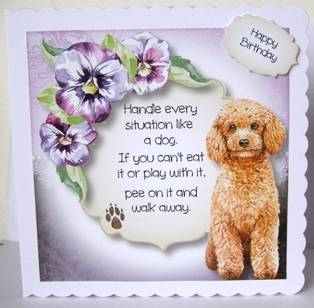 Handle Every Situation Like A Dog - Poodle 8x8 by Margaret McCartney