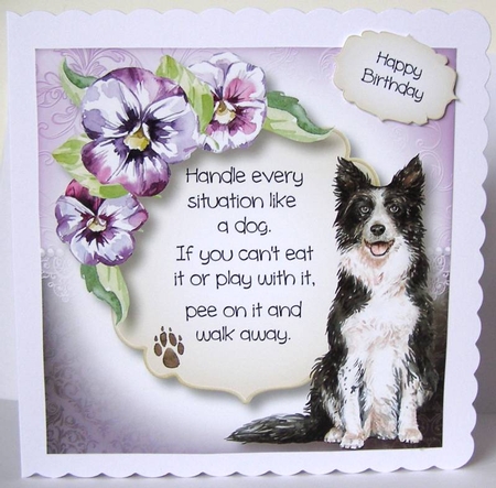 Handle Every Situation Like A Dog - Border Collie 8x8 by Margaret McCartney