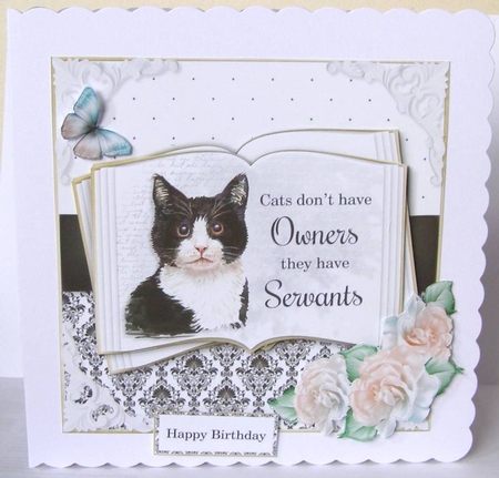 Cats have Servants 1 by Margaret McCartney
