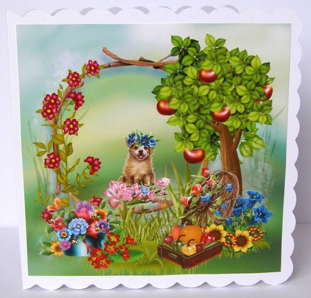 My Cute Garden CF8,  from Bella Caribena  by Margaret McCartney