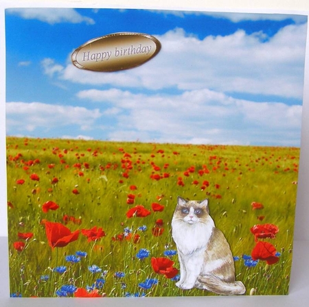 POPPY FIELD by Margaret McCartney