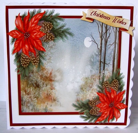 Beautiful Poinsettias and Moonlit Walk by Margaret McCartney