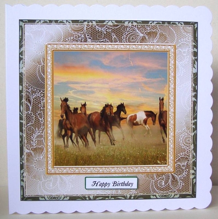 CHOOSE YOUR SENTIMENT HEARD OF HORSES by Margaret McCartney