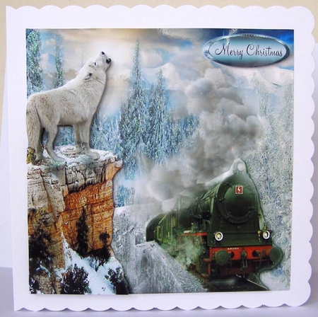 wolf and the steam train by Margaret McCartney