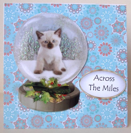 Christmas Cat  Snow Globes by Margaret McCartney