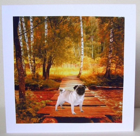 Designer Mix 47 by Margaret McCartney
