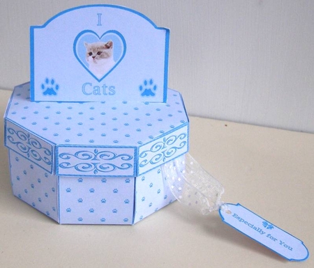 Cat lover octagonal exploding box card by Margaret McCartney
