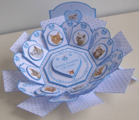 Cat lover octagonal exploding box card by Margaret McCartney
