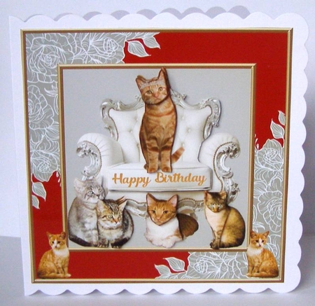 Ginger cats Birthday 2 by Margaret McCartney
