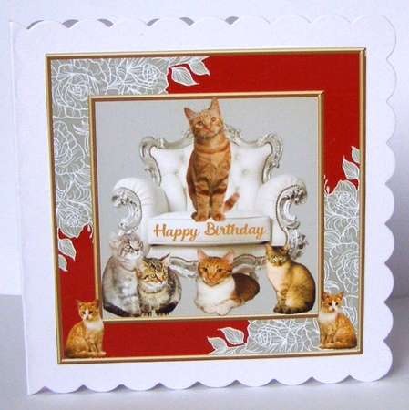 Ginger cats Birthday 2 by Margaret McCartney