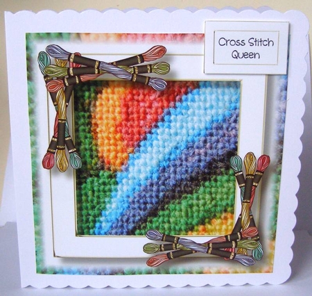 Close Up Cross Stitch Bumper Kit by Margaret McCartney