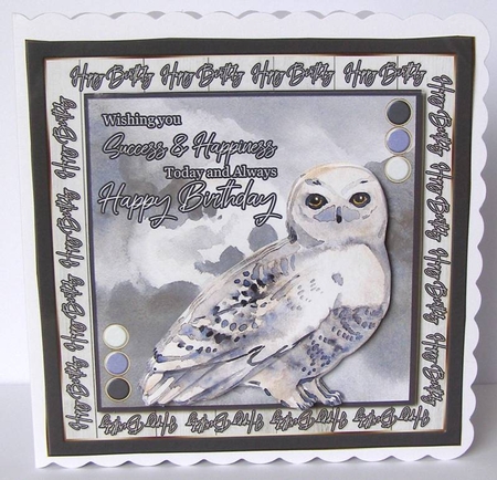 Birthday Hoot 1  by Margaret McCartney