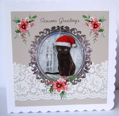 Cat in a hat by Margaret McCartney